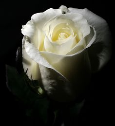 bba924a0e7258bfe5e3177c3dea26cdc